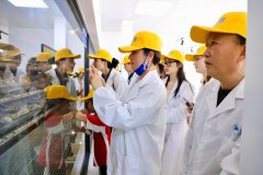 <b>黄天鹅：常态化通明监视系统落地 出产向社会</b>